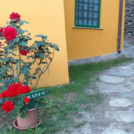 Casa Del Poggio By Interhome Apartment Brasi