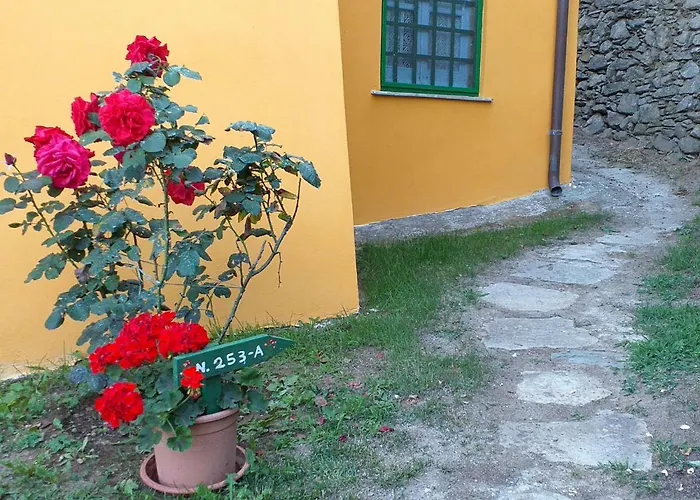 Casa Del Poggio By Interhome Lägenhet Brasi